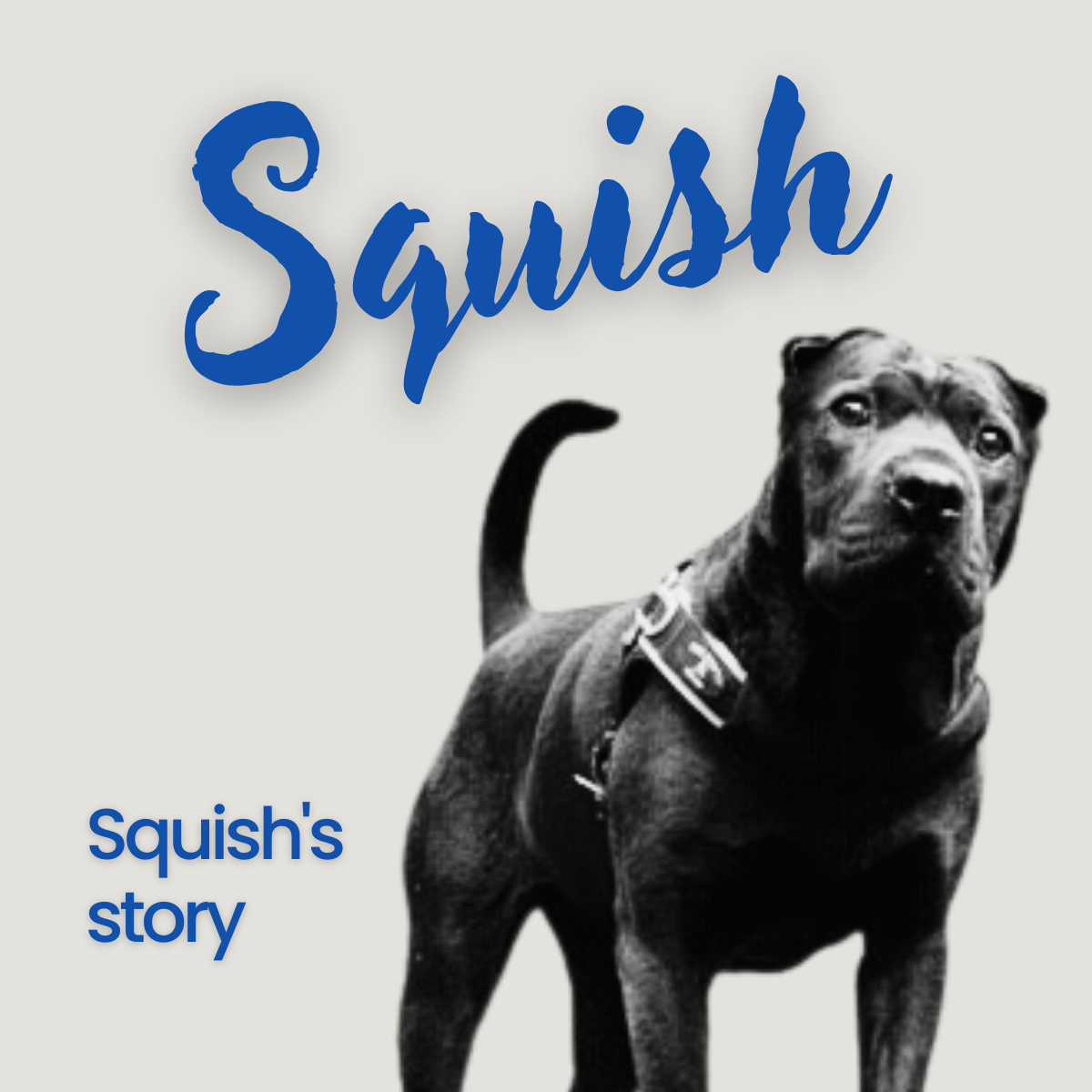 Squish's Story - Tre Ponti
